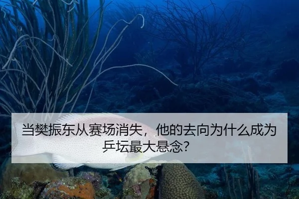 dang-fan-zhen-dong-cong-sai-chang-xiao-shi-ta-de-qu-xiang-wei-shen-me-cheng-wei-ping-tan-zui-da-xuan-nian-2-499.jpg