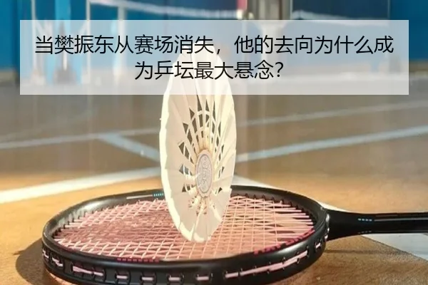 当樊振东从赛场消失，他的去向为什么成为乒坛最大悬念？